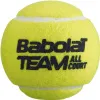 Мяч теннисный BABOLAT Team All Court,502081, уп.4 шт,одобр.ITF, сукно, нат.резина,желтый за 2&nbsp;385.10 ₽ купить в Краснодаре